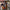 Fitness Biceps Triceps Rope Pull Down Grip Handles Muscle Gym Rope Pulley Cable Machine Attachment Back Pulls Pulley Accessories